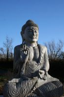 Knowle Buddha!